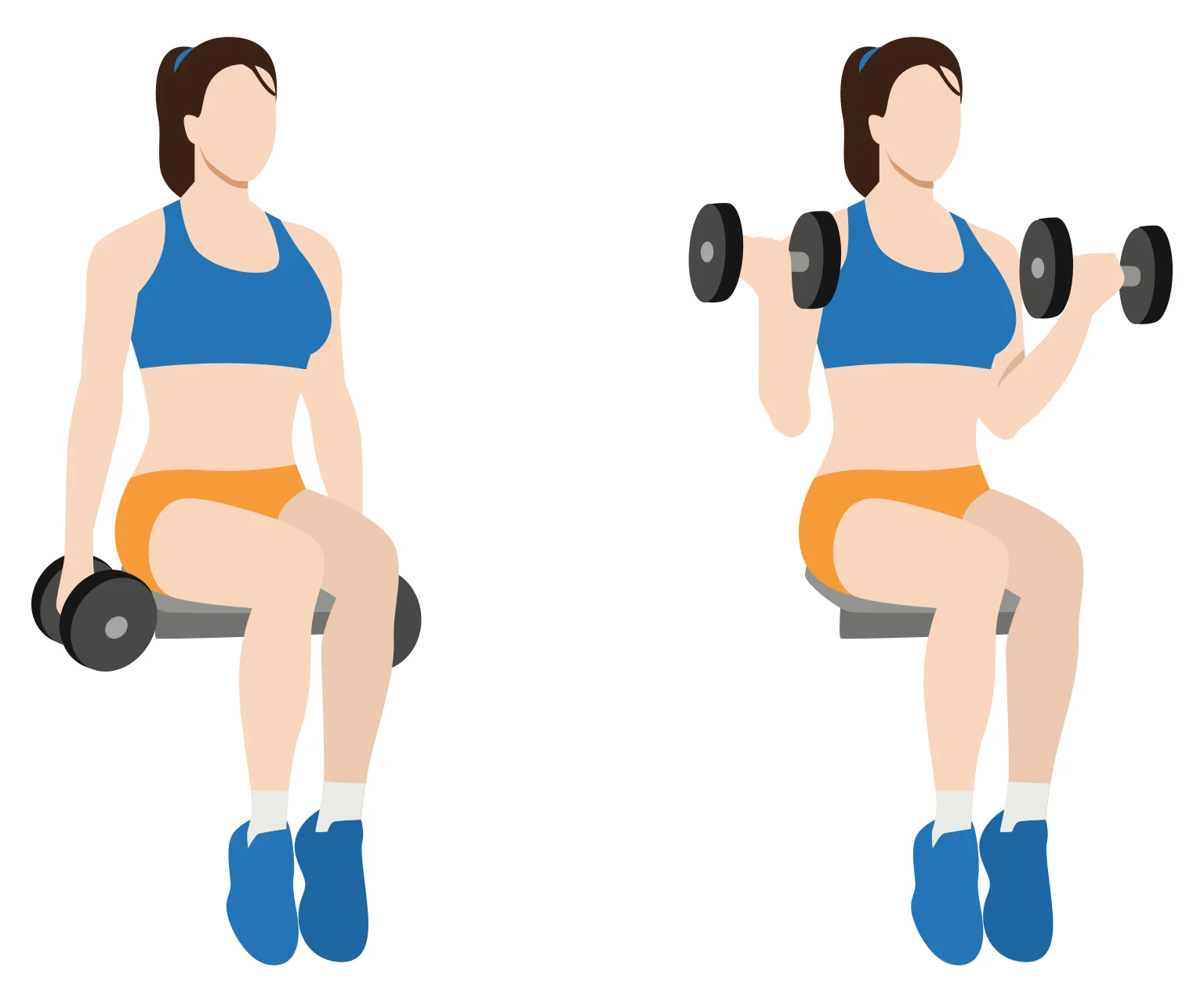illustration - How to do seated bicep curls