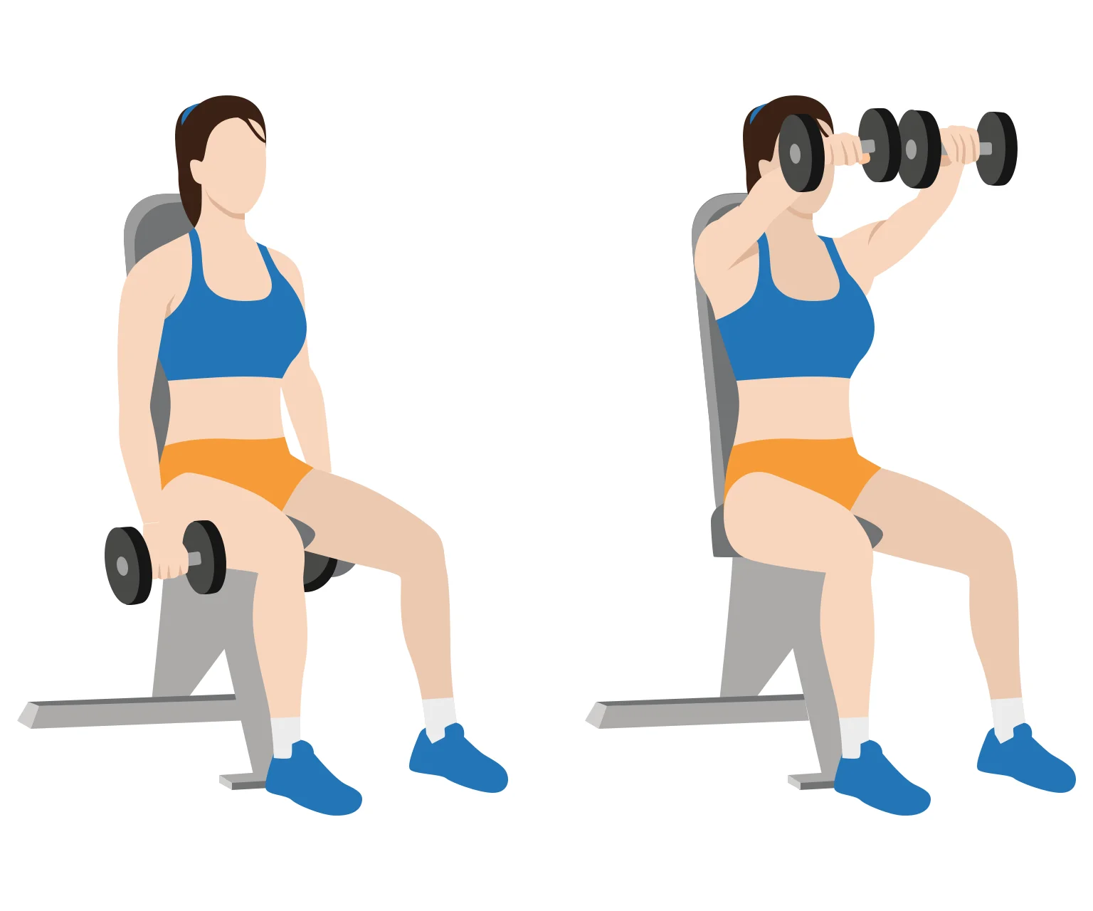 illustration - How to do seated front raises