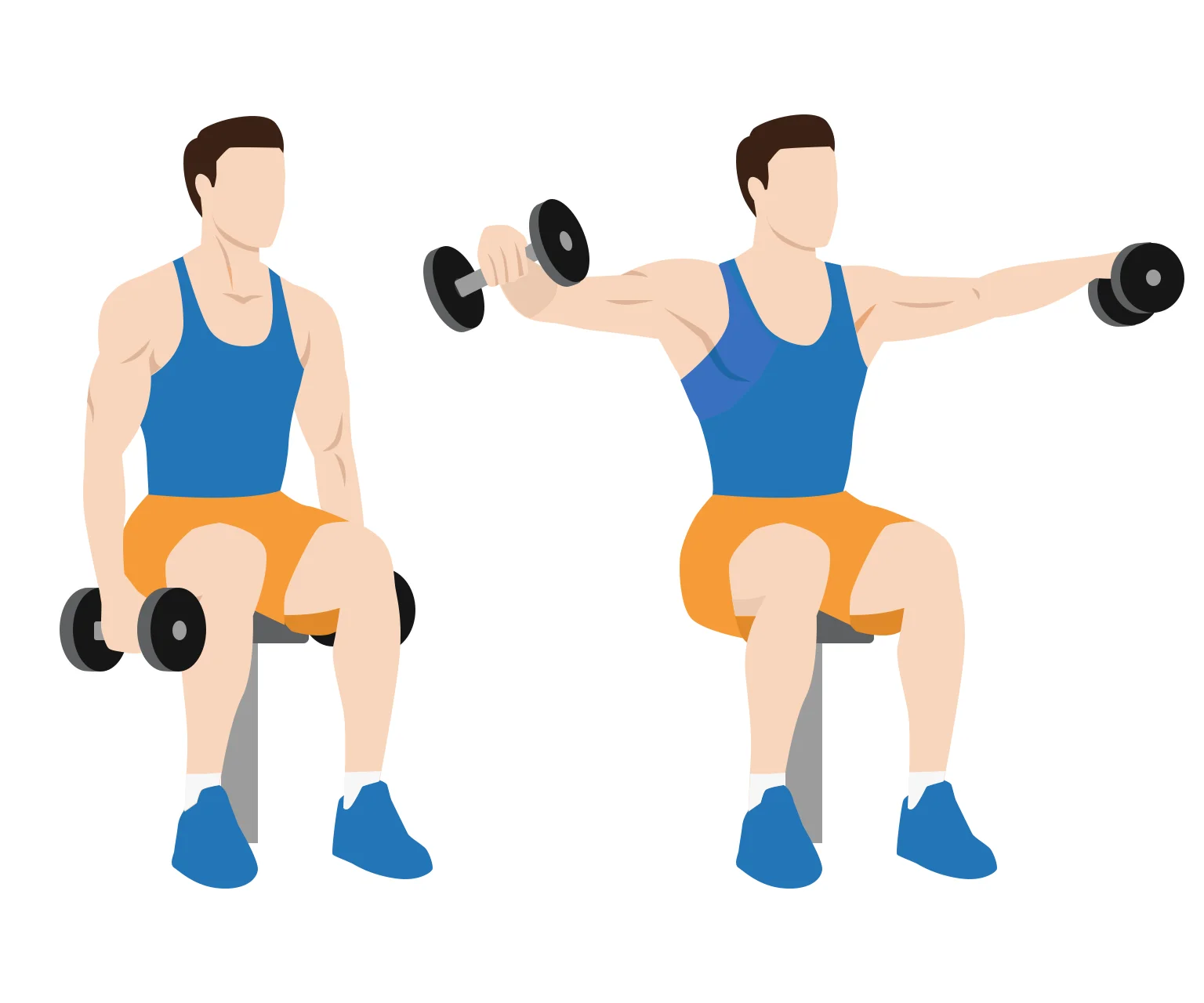 diagram - How to do a seated dumbbell lateral raise