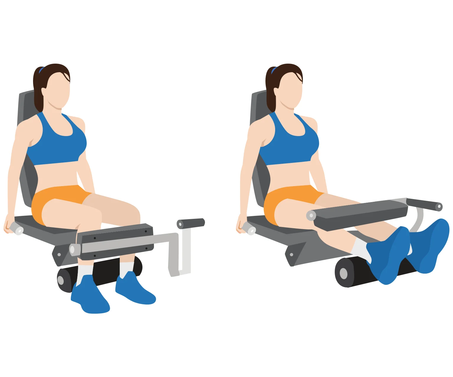 Illustration - How to do a seated leg curl