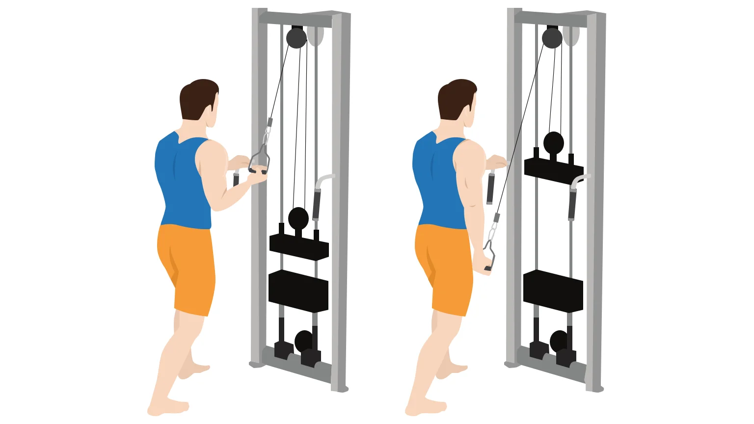 diagram - Single arm tricep pushdown