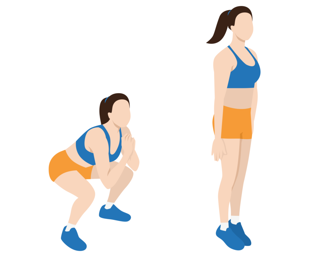 10 Squat Variations - How to Do a Squat - Illustrated Guide - Gym Geek