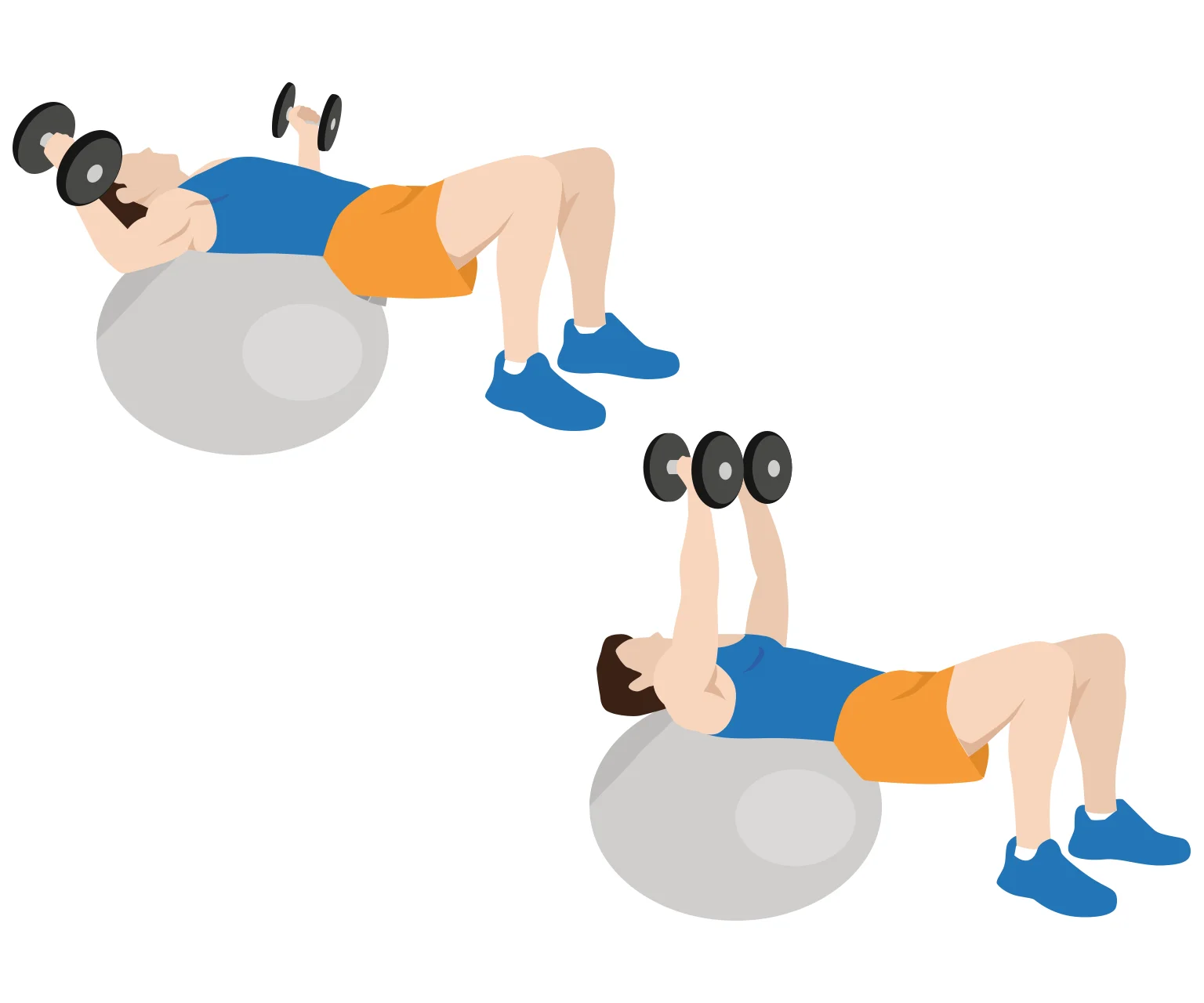 illustration - How to do stability ball chest flys