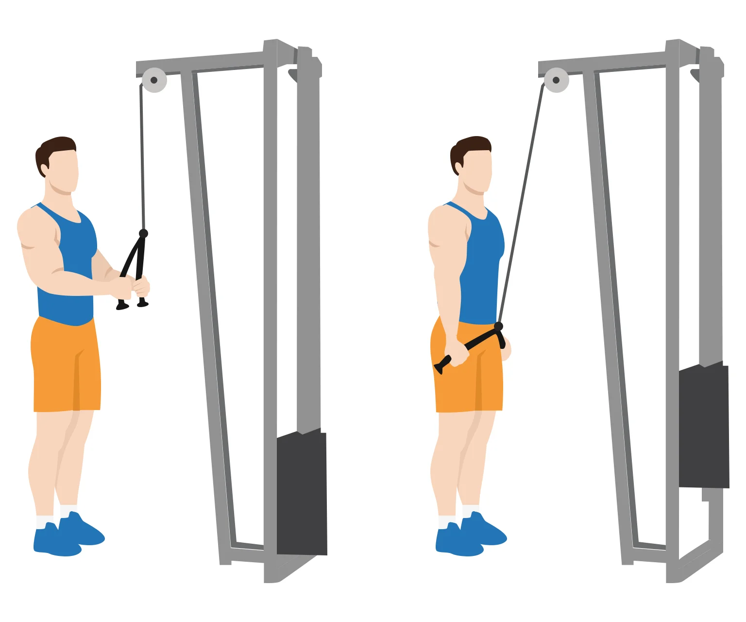 illustration - How to do tricep rope pushdowns