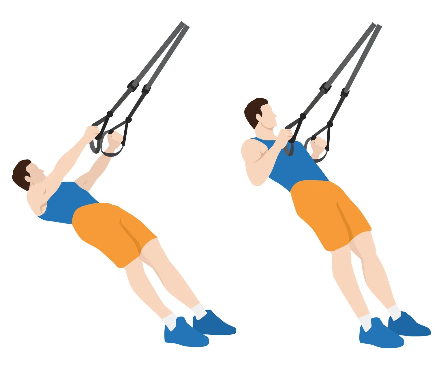 illustration - How to do a TRX inverted row