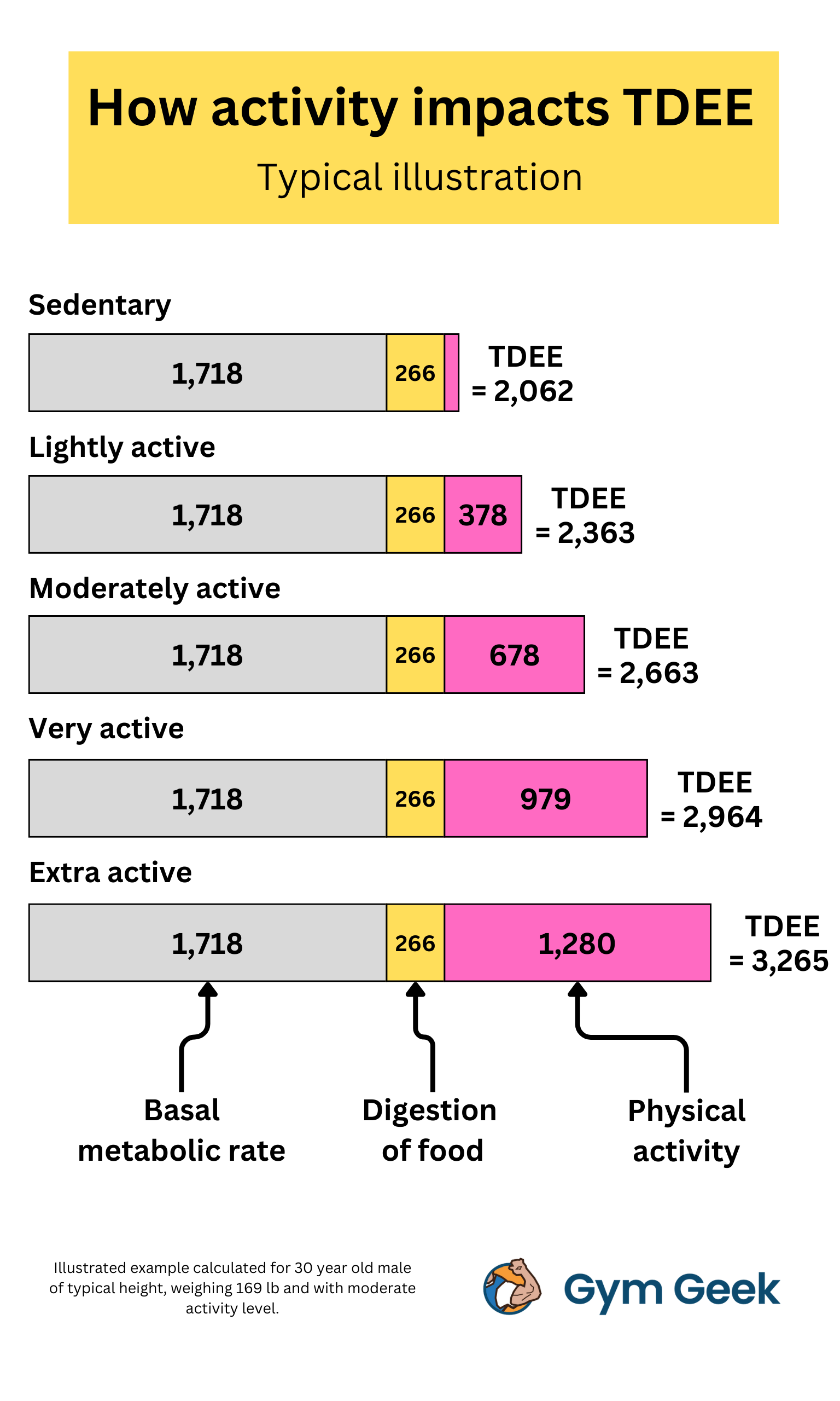 infographic, illustration - How activity level impacts TDEE. Illustration shows the impact on TDEE (made up of basal metabolic rate, digestion of food and physical activity) based on 5 Standard Activity Factors from sedentary to extra active.